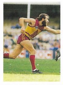1991 Select AFL Stickers #29 John Gastev Front